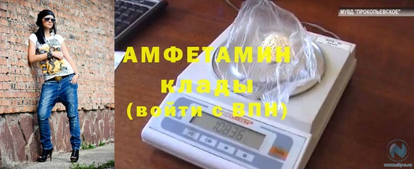 молекула духа Аркадак
