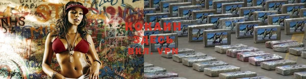 молекула духа Аркадак